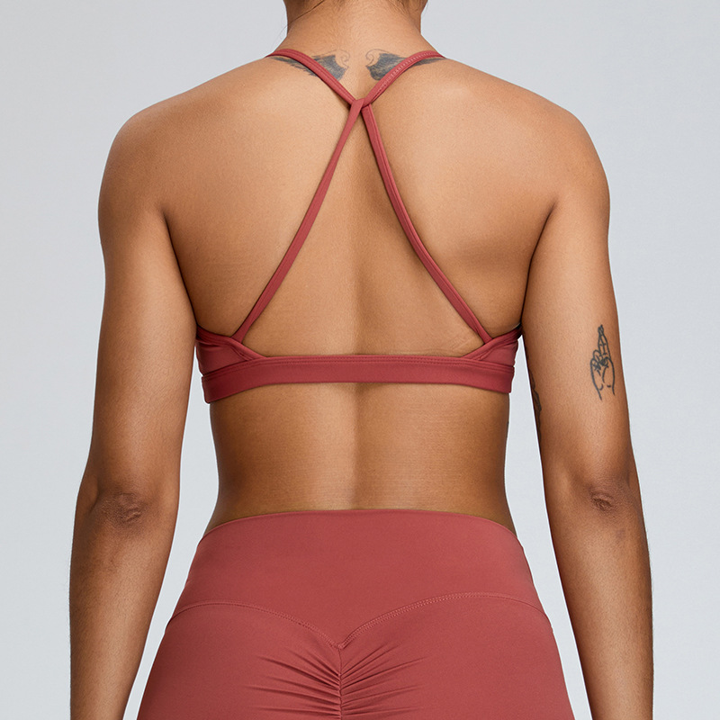 Nahtlose Sport-Bh Frauen Unter – Quick Dry Underwear Bewertung und Preis